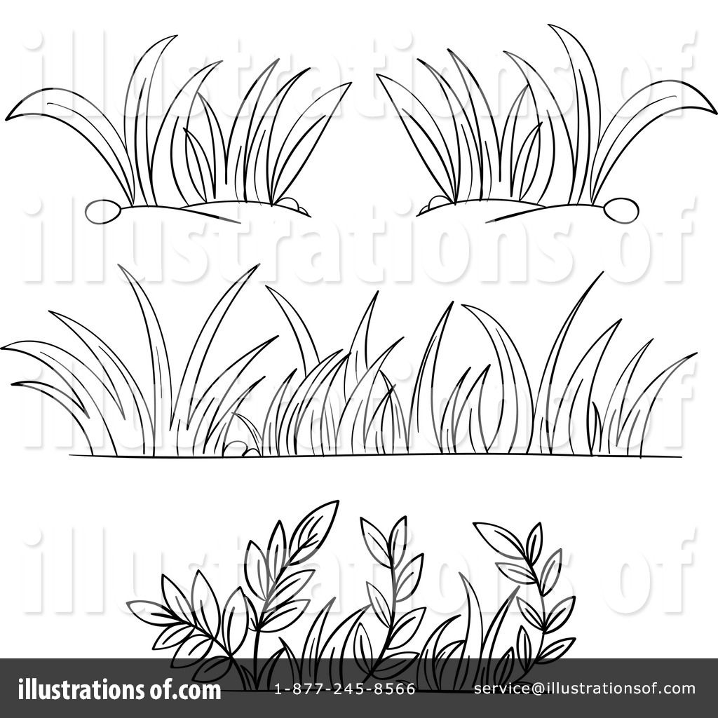 Clipart grass drawing. Pin by marcy dorsey