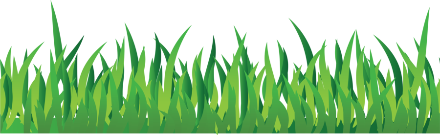 Green background transparent clip. Clipart grass drawing