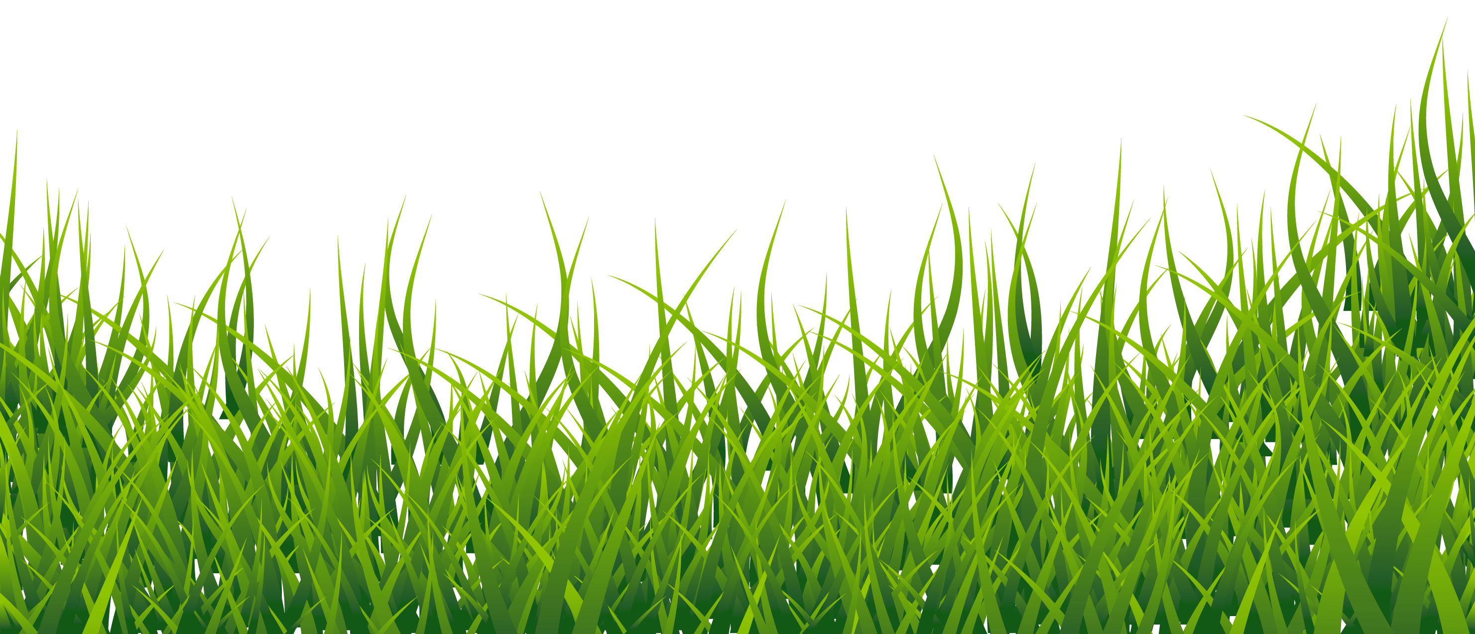 Grass clipart easy. English vocabulary clip art