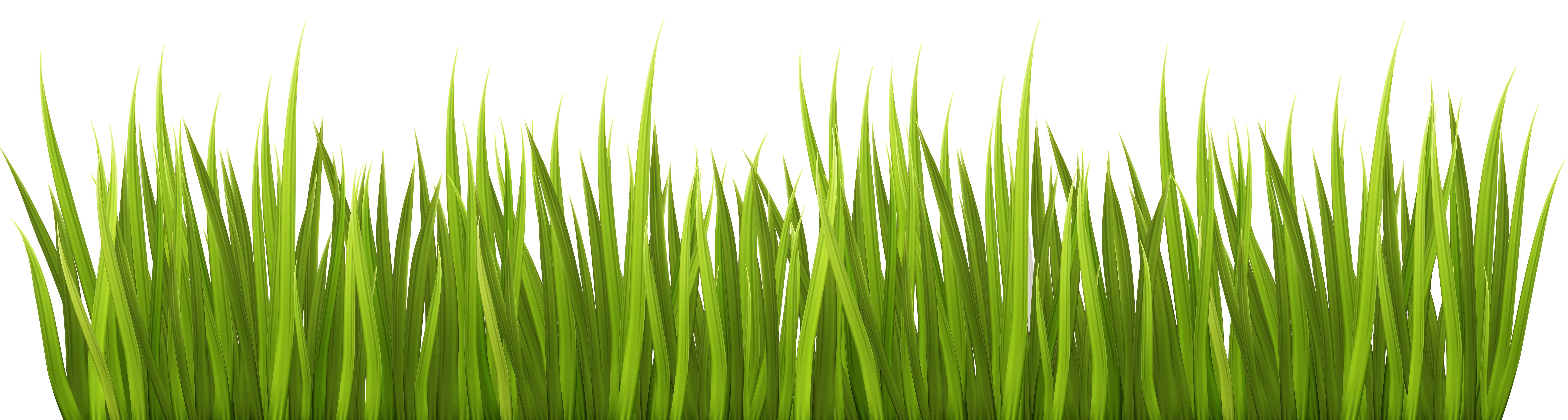 clipart-grass-fodder-clipart-grass-fodder-transparent-free-for