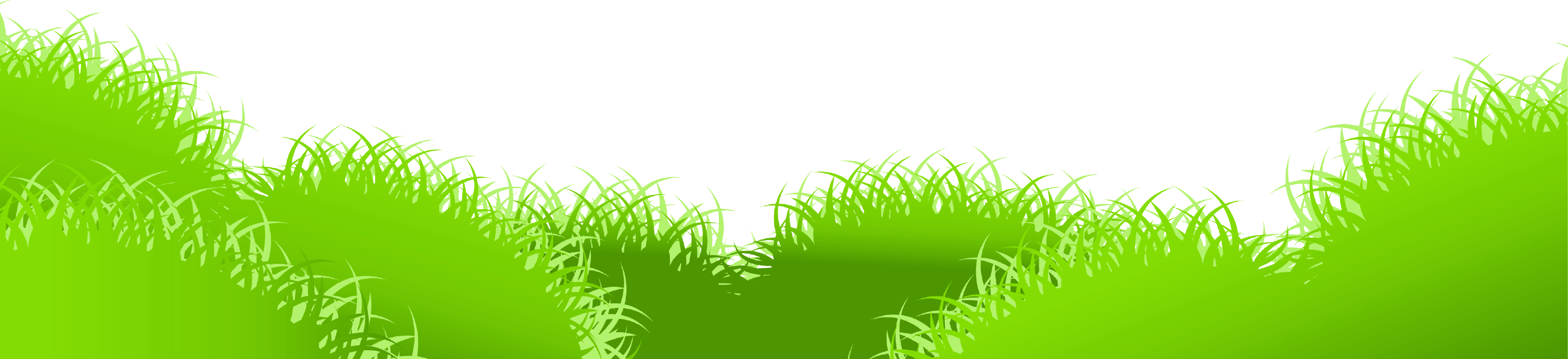 forest clipart transparent