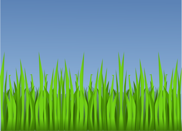 Download lawn png . Clipart grass forest grass