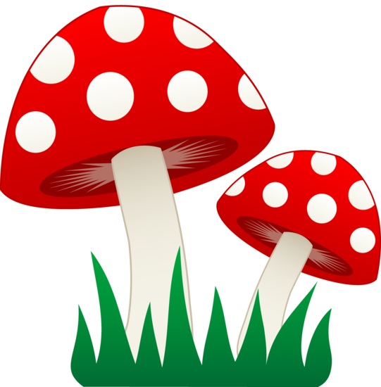 Two mushrooms in free. Grass clipart fungus
