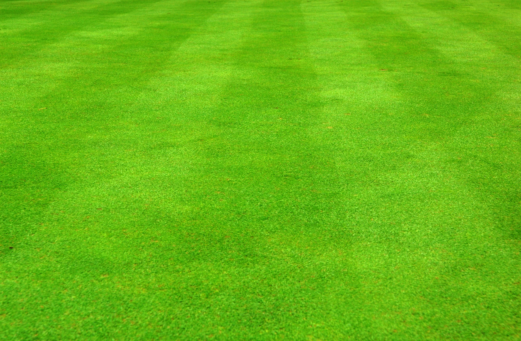 Field clipart grassy area. Free grass cliparts download
