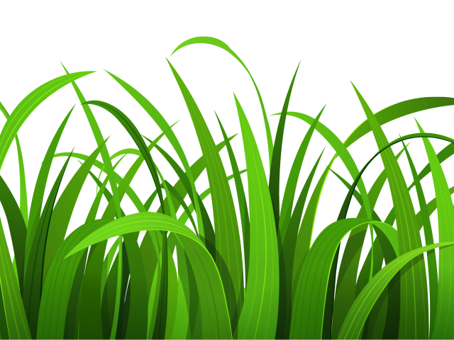 clipart grass grassy area