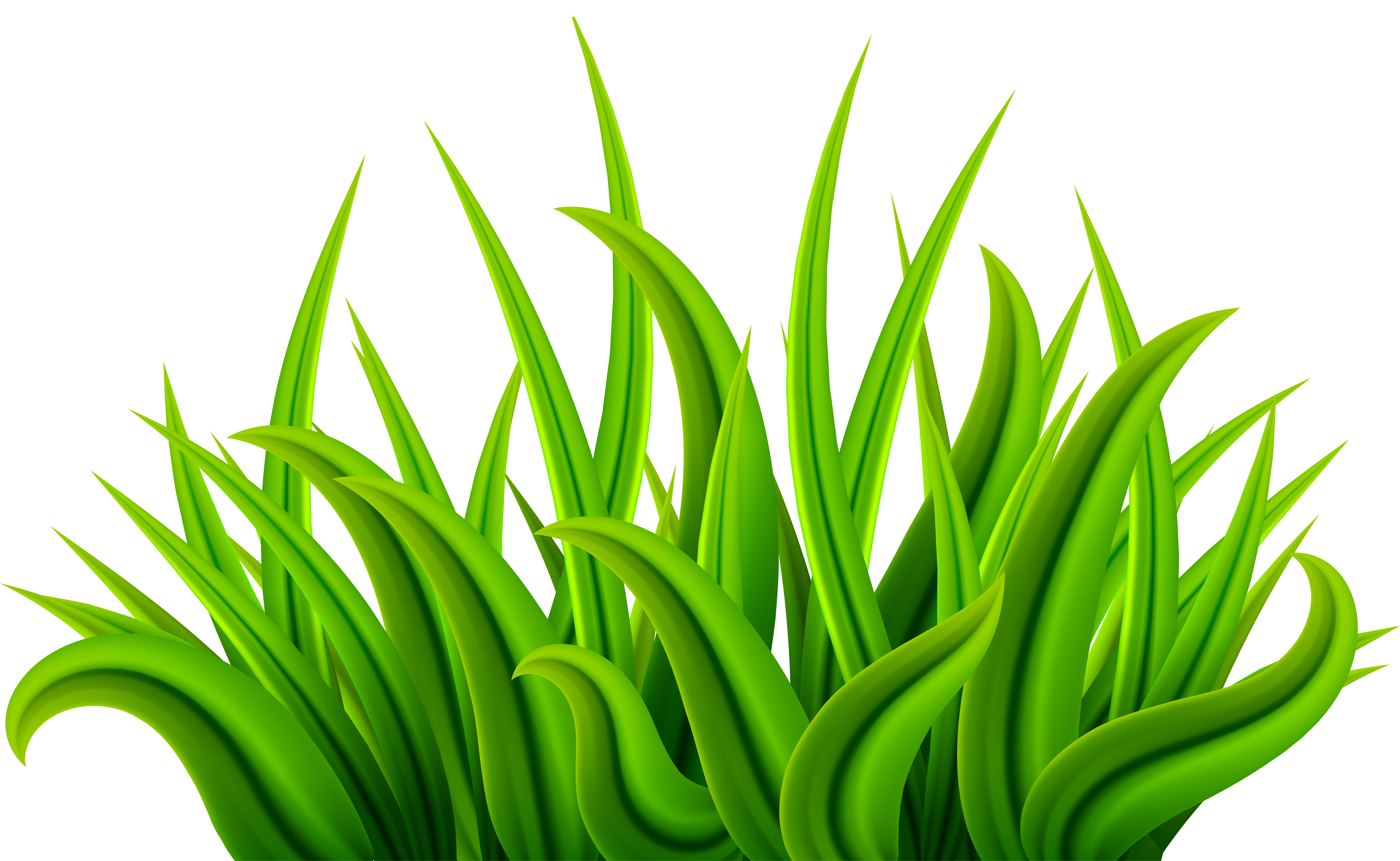 clipart grass green grass