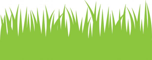 Grass clipart illustration. Green free stock photo