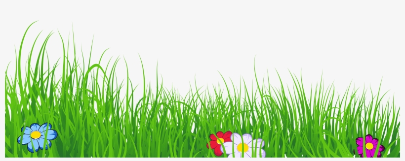 grass clipart clear background