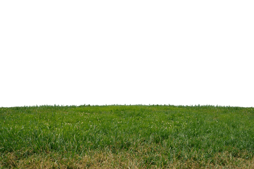clipart grass hill