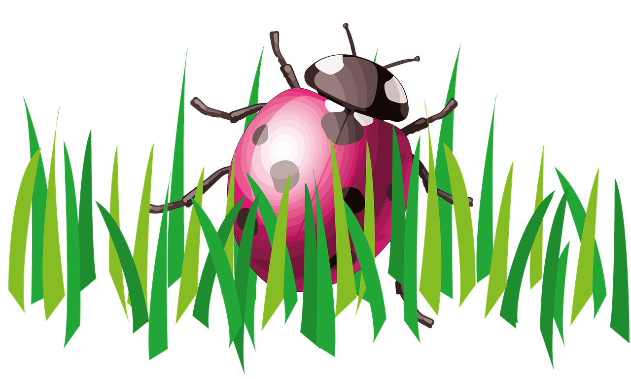 insect clipart grass clipart