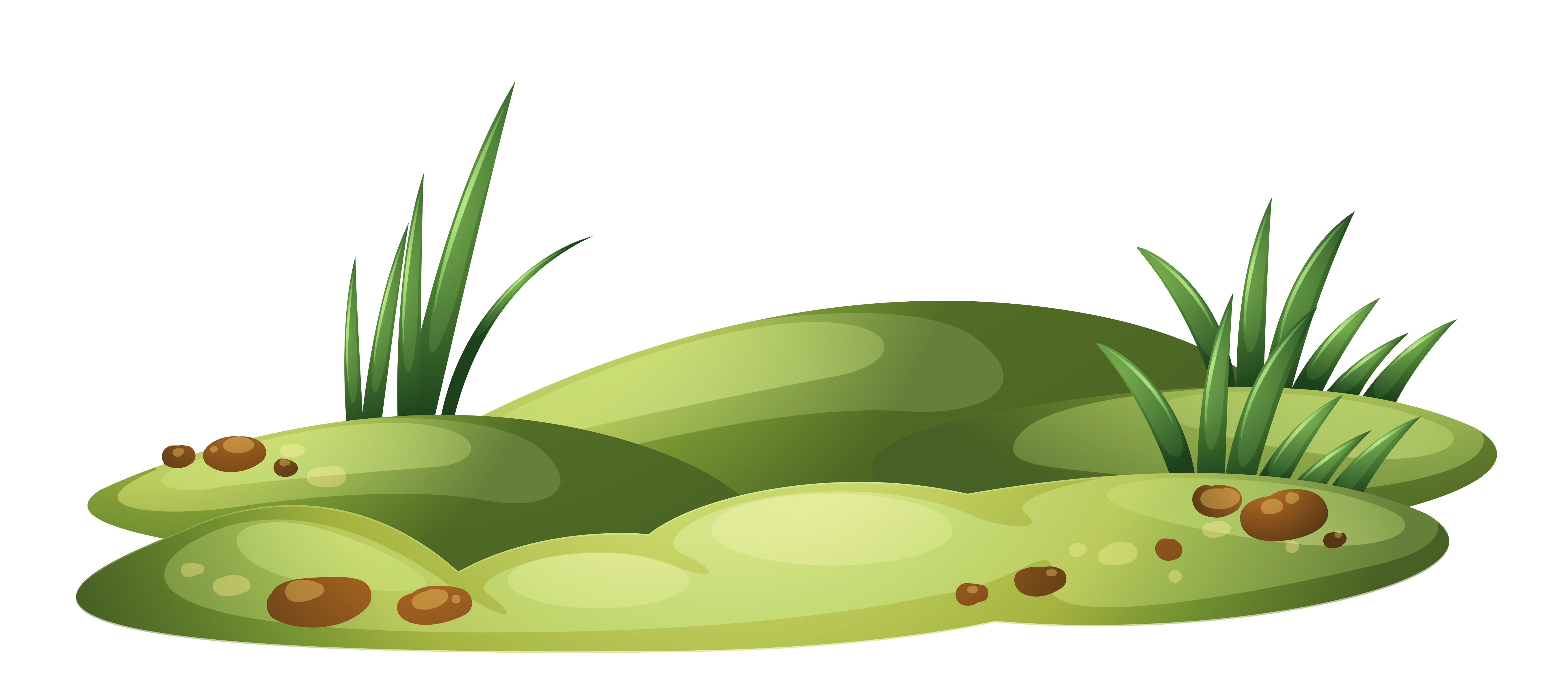 clipart grass illustration