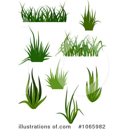 clipart grass illustration