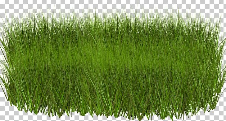 clipart grass light green