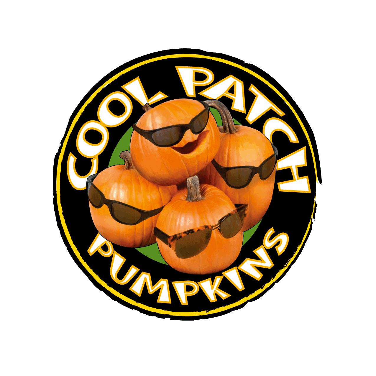Clipart pumpkin pumpkin patch. Coolpatchpumpkins cool pumpkins
