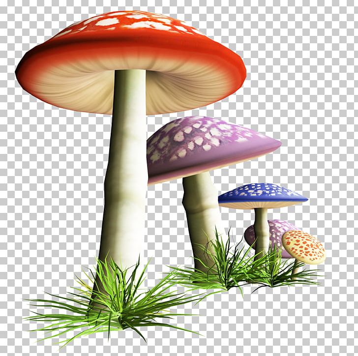 mushrooms clipart grasss
