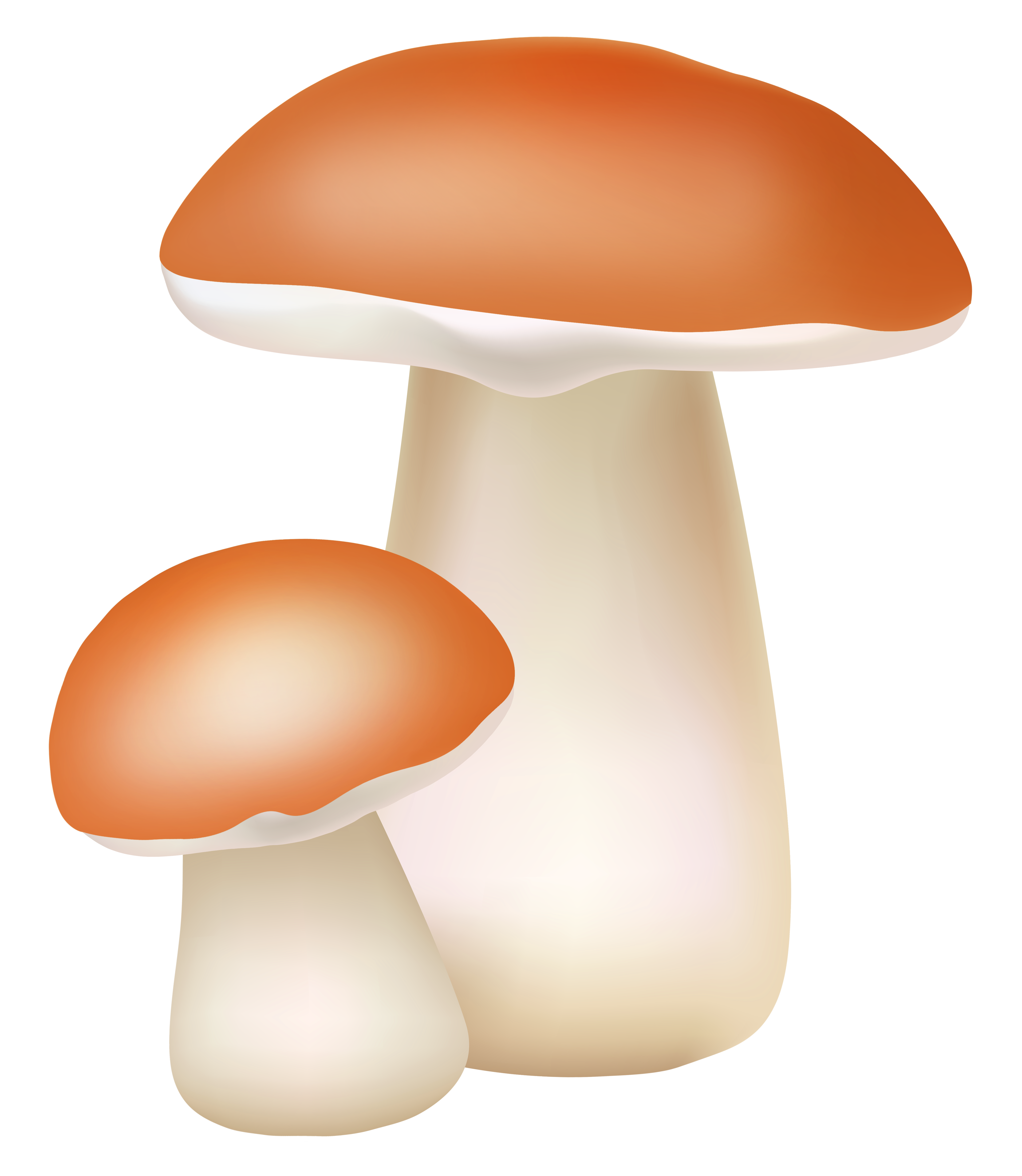 Two mushrooms png cliaprt. Clipart grass mushroom