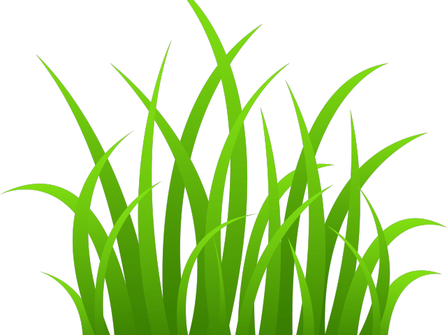 clipart grass plains
