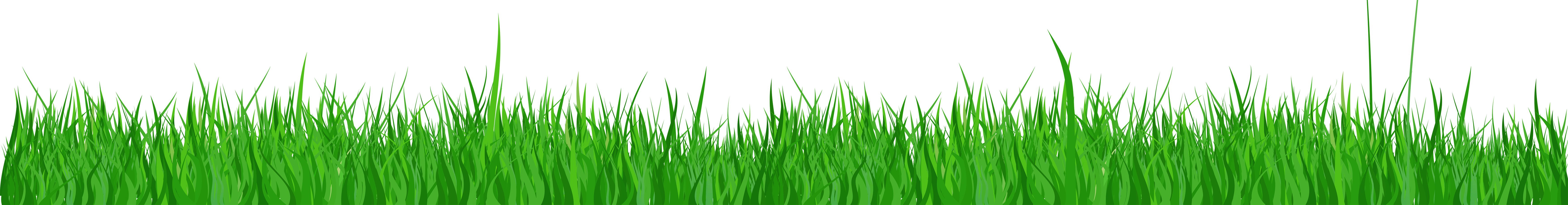 grass clipart png format