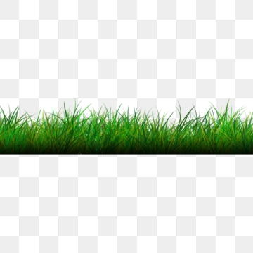 clipart grass png format