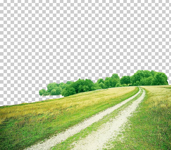 clipart grass road