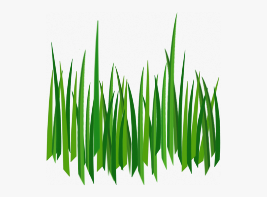 clipart grass row