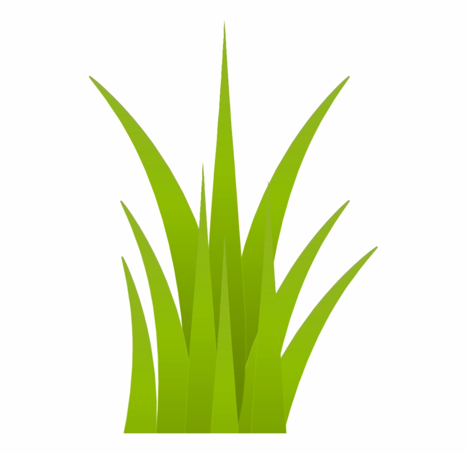 clipart grass safari