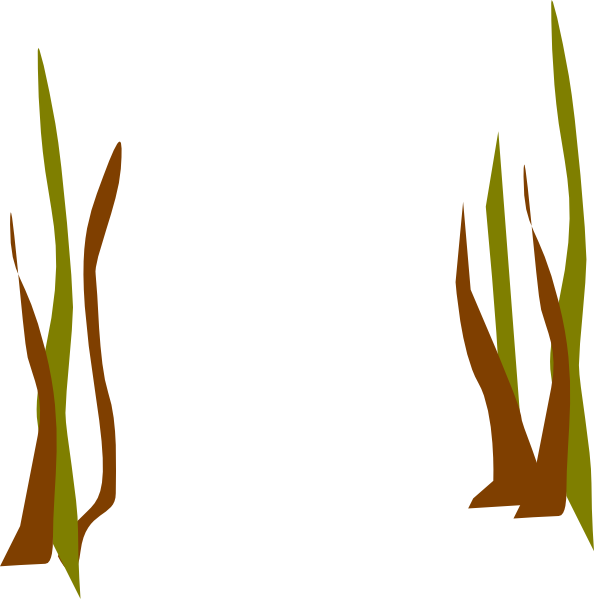 clipart grass seaweed