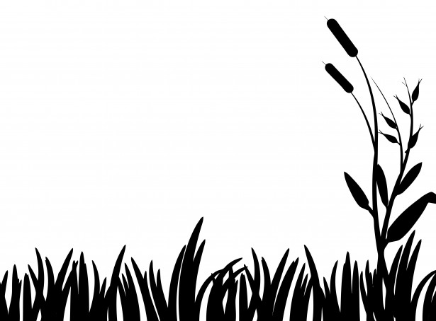 swamp clipart dark grass