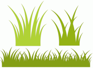 X free clip art. Clipart grass shape