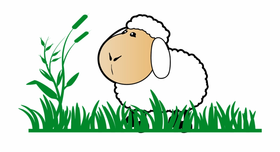 clipart grass sheep