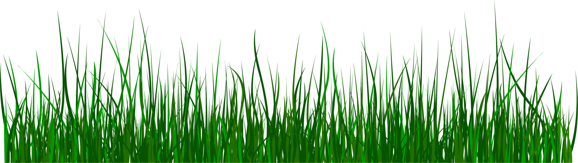 clipart grass simple