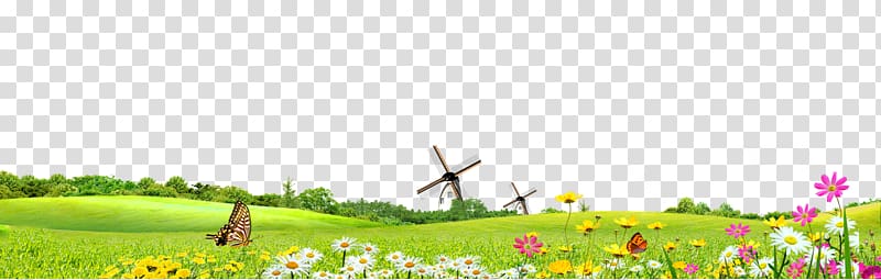 Clipart grass summer. Green safflower google s
