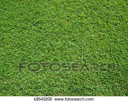 clipart grass top