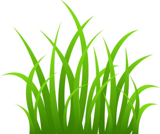 Clipart grass translucent. Transparent clip art images