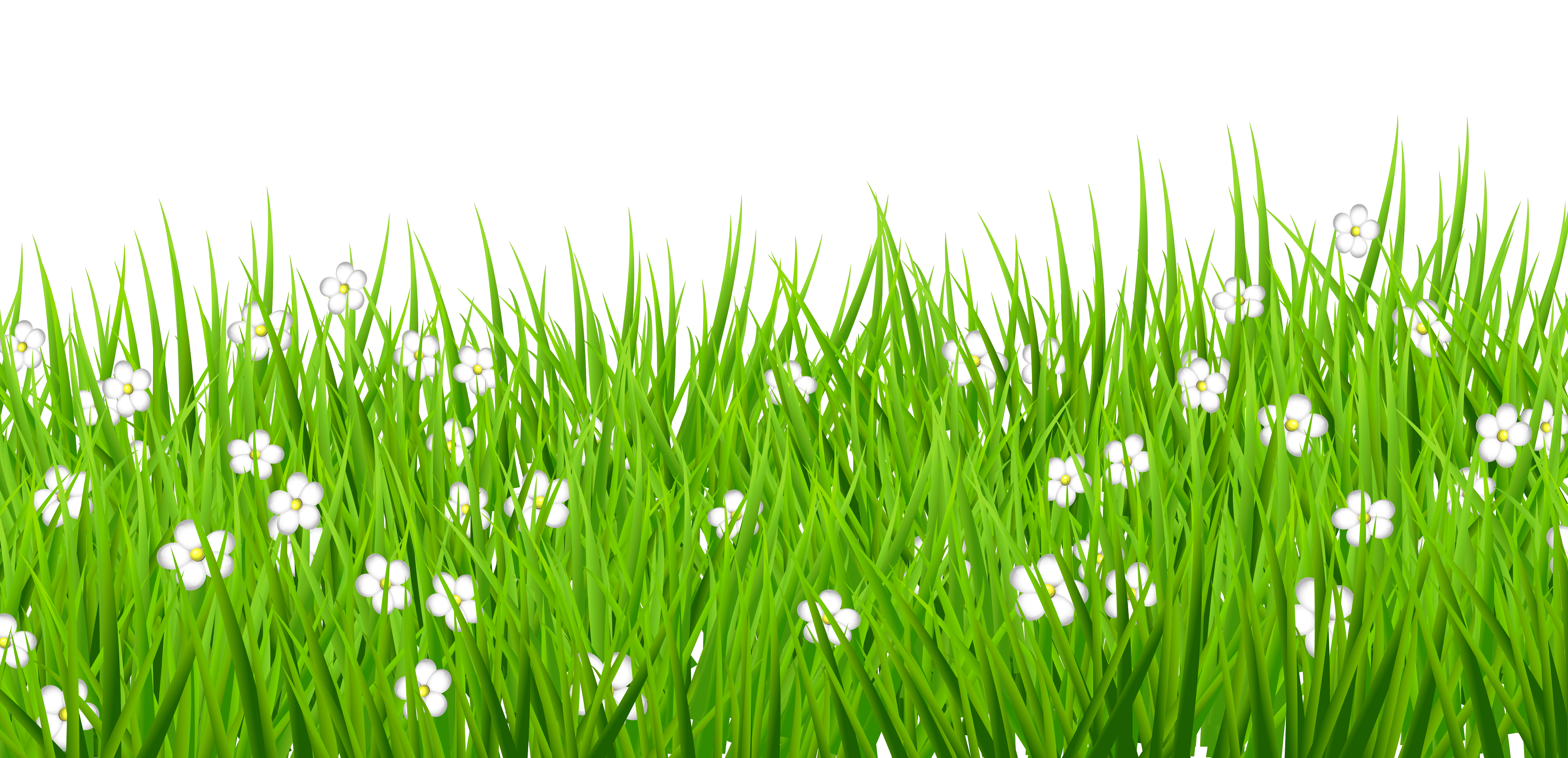 Free on dumielauxepices net. Grass clipart translucent