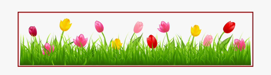 Clipart grass tulip. Border spring clip art