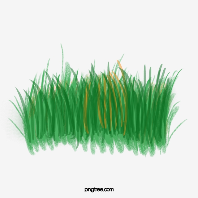 grass clipart watercolor