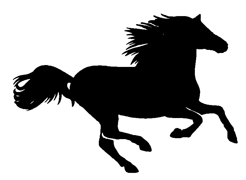horses clipart stallion