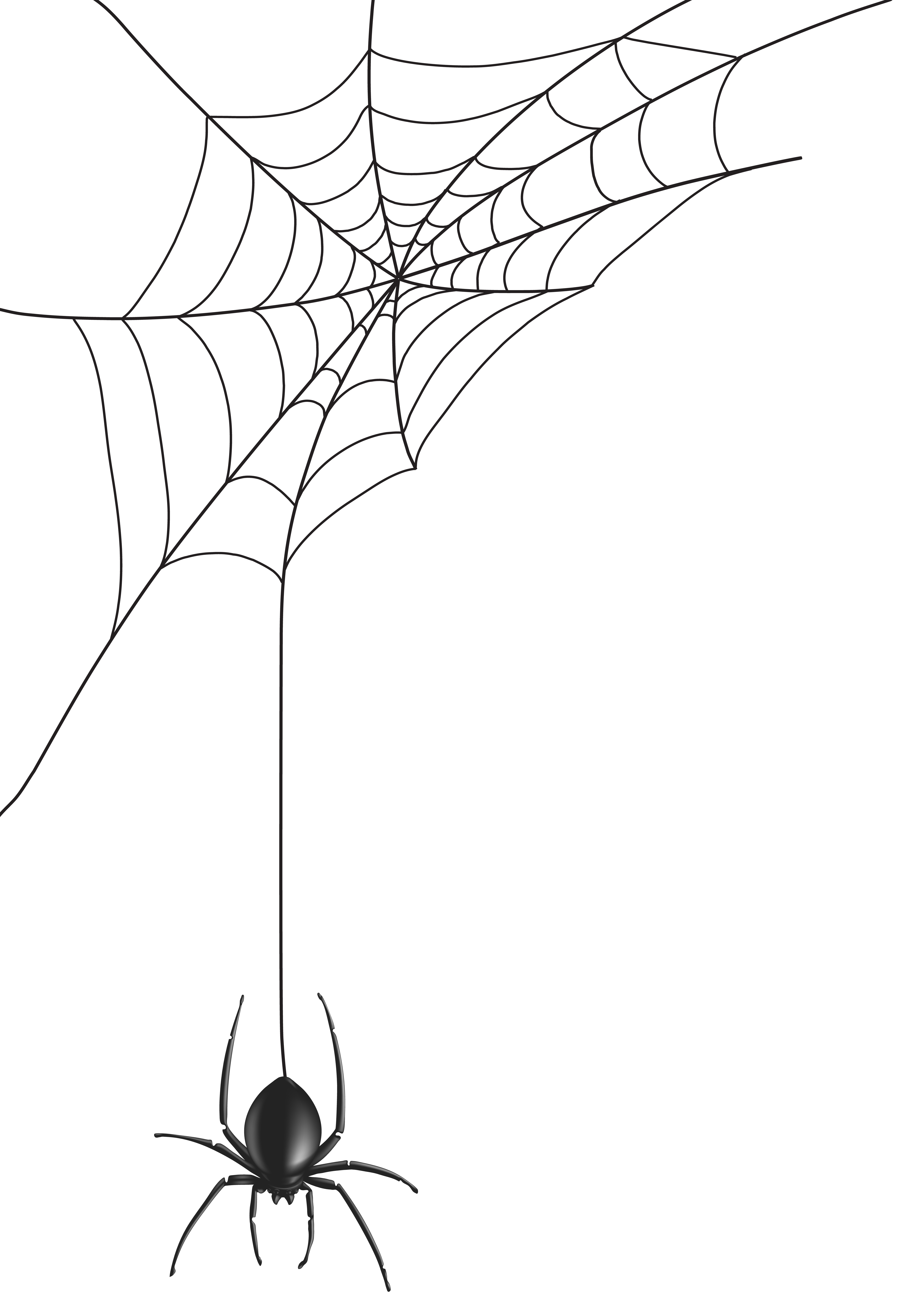 Spider web png clip. Mittens clipart snowsuit