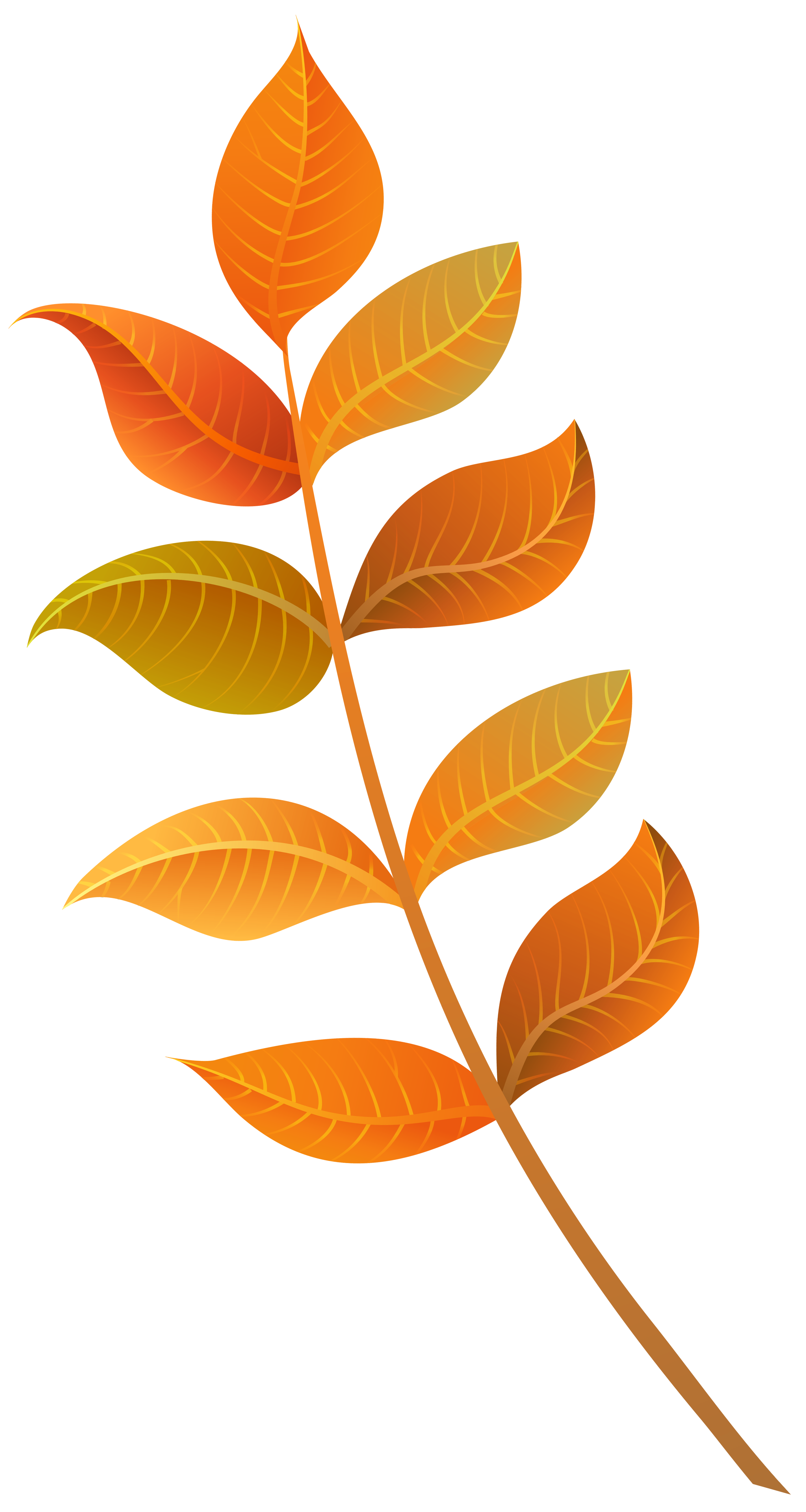 Fall leaves png image. Decorative clipart autumn tree branch