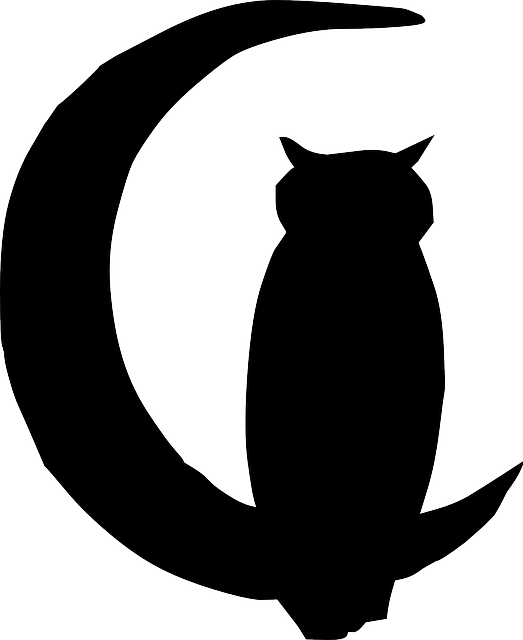 Owls clipart silhouette. Black outline moon cartoon