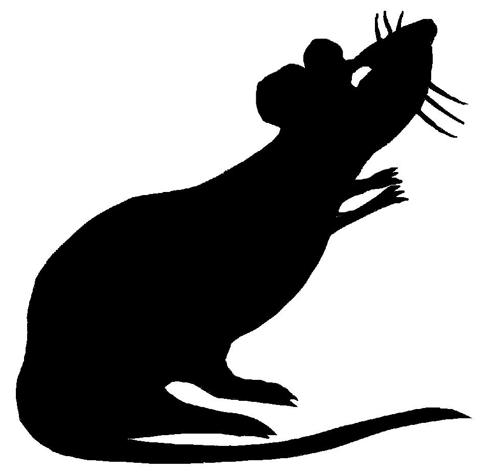silhouette clipart rat