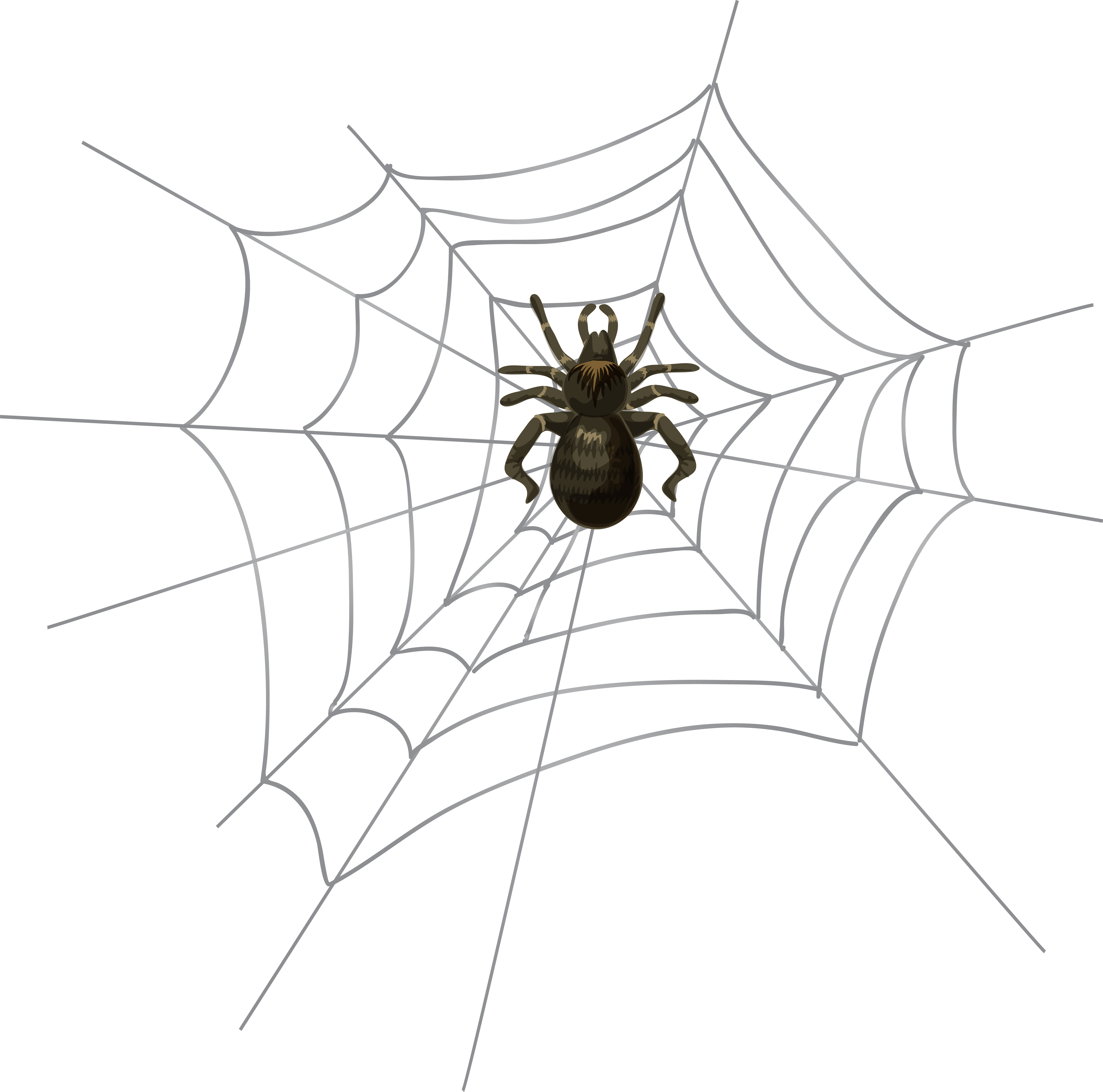 Web png clip art. Clipart halloween spider