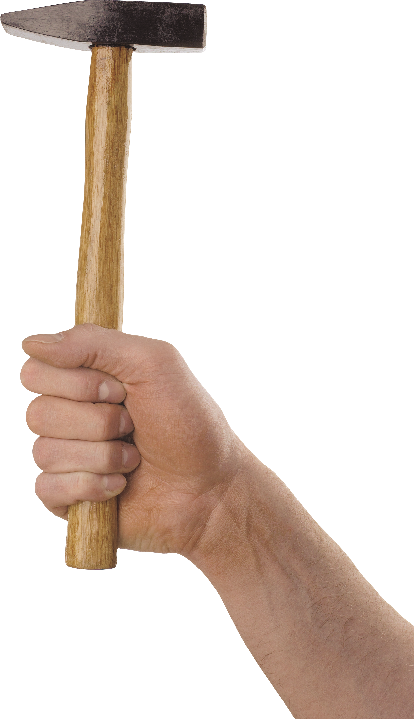 Holding one isolated stock. Clipart hammer hand