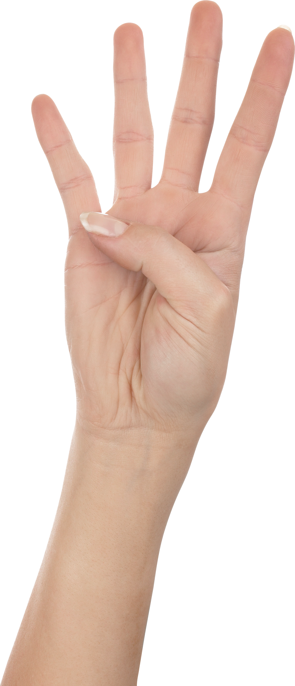 Finger clipart hand grab. Four png image purepng