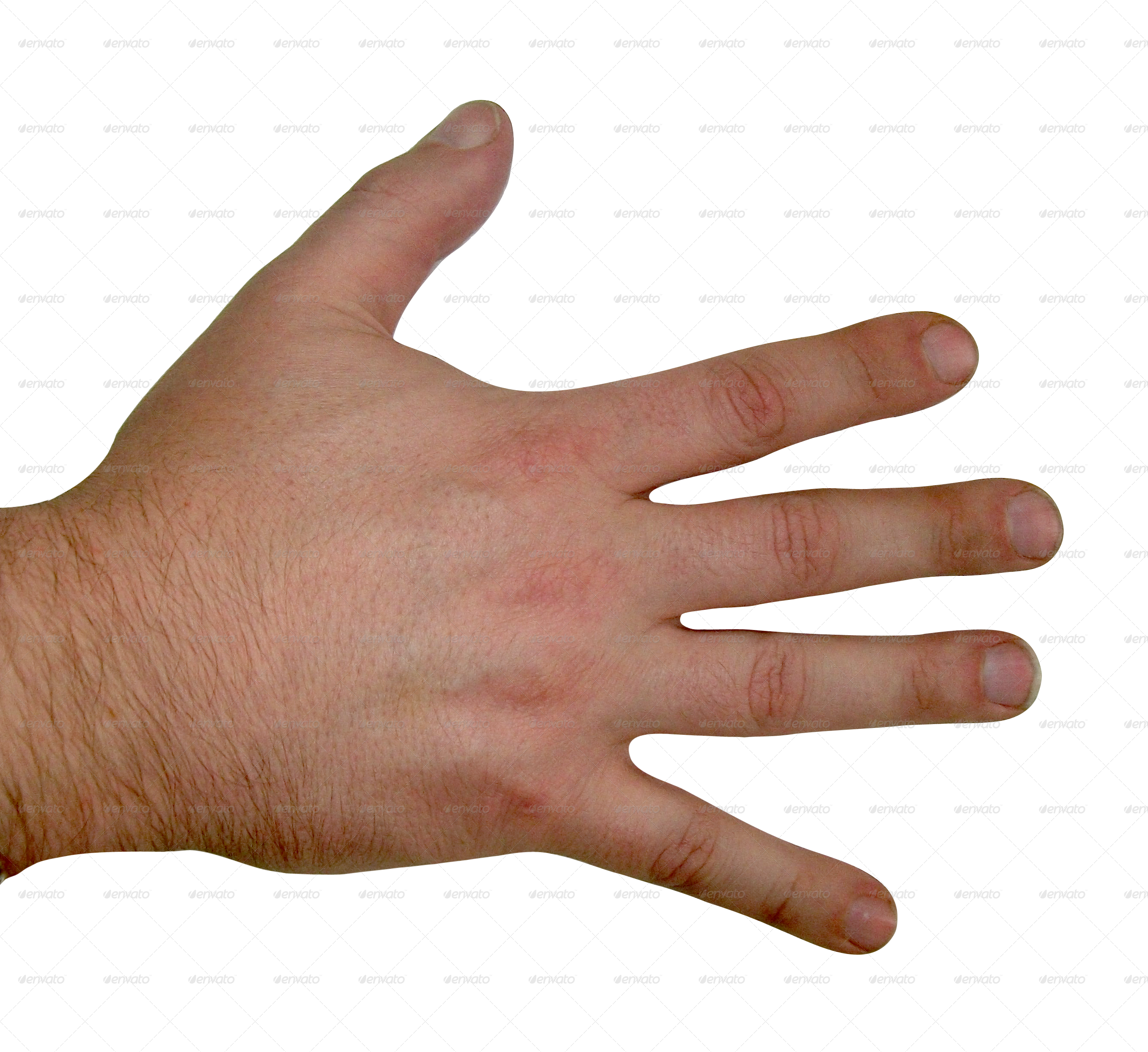 clipart hand multiracial