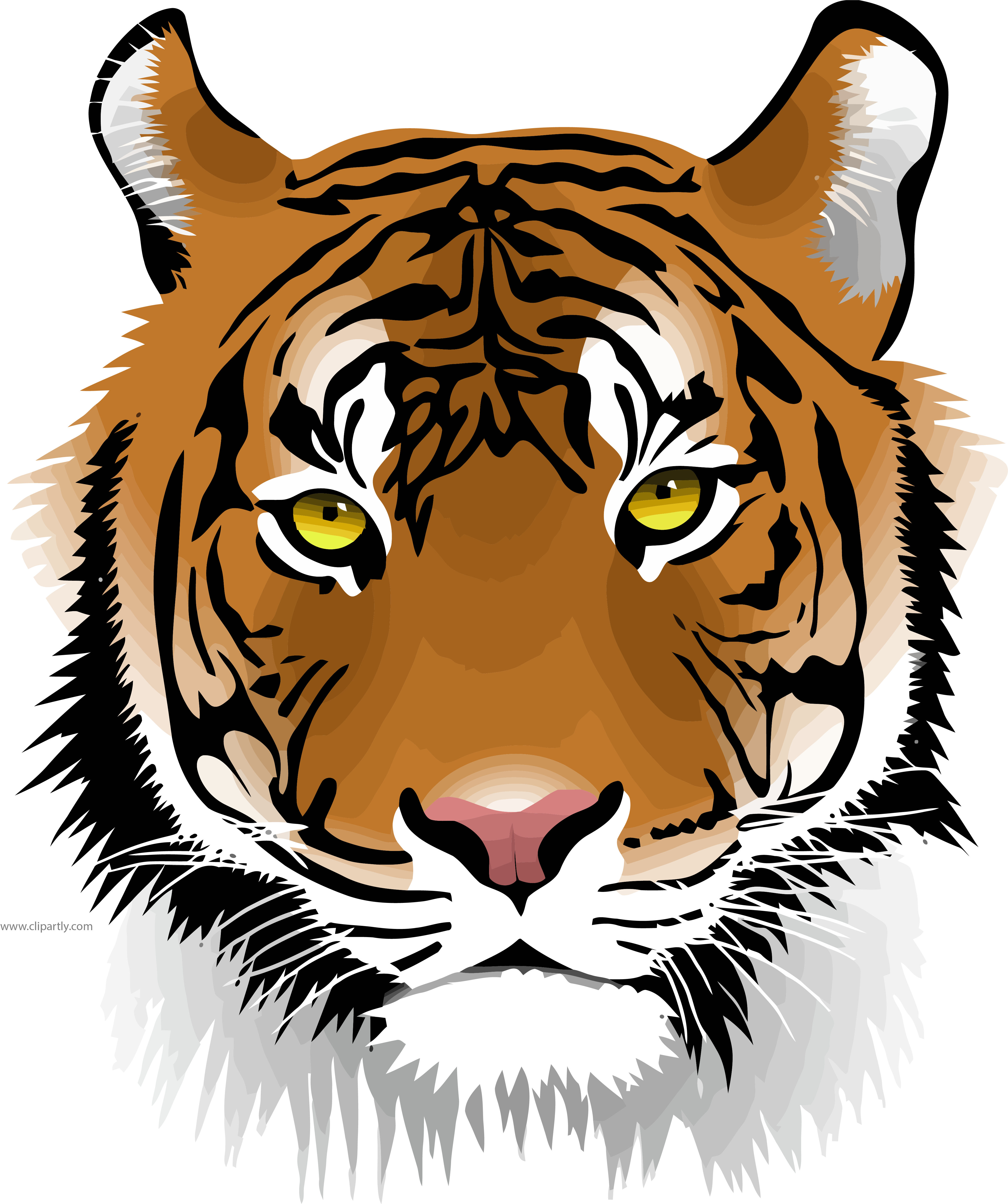 Saber tooth at getdrawings. Hand clipart tiger