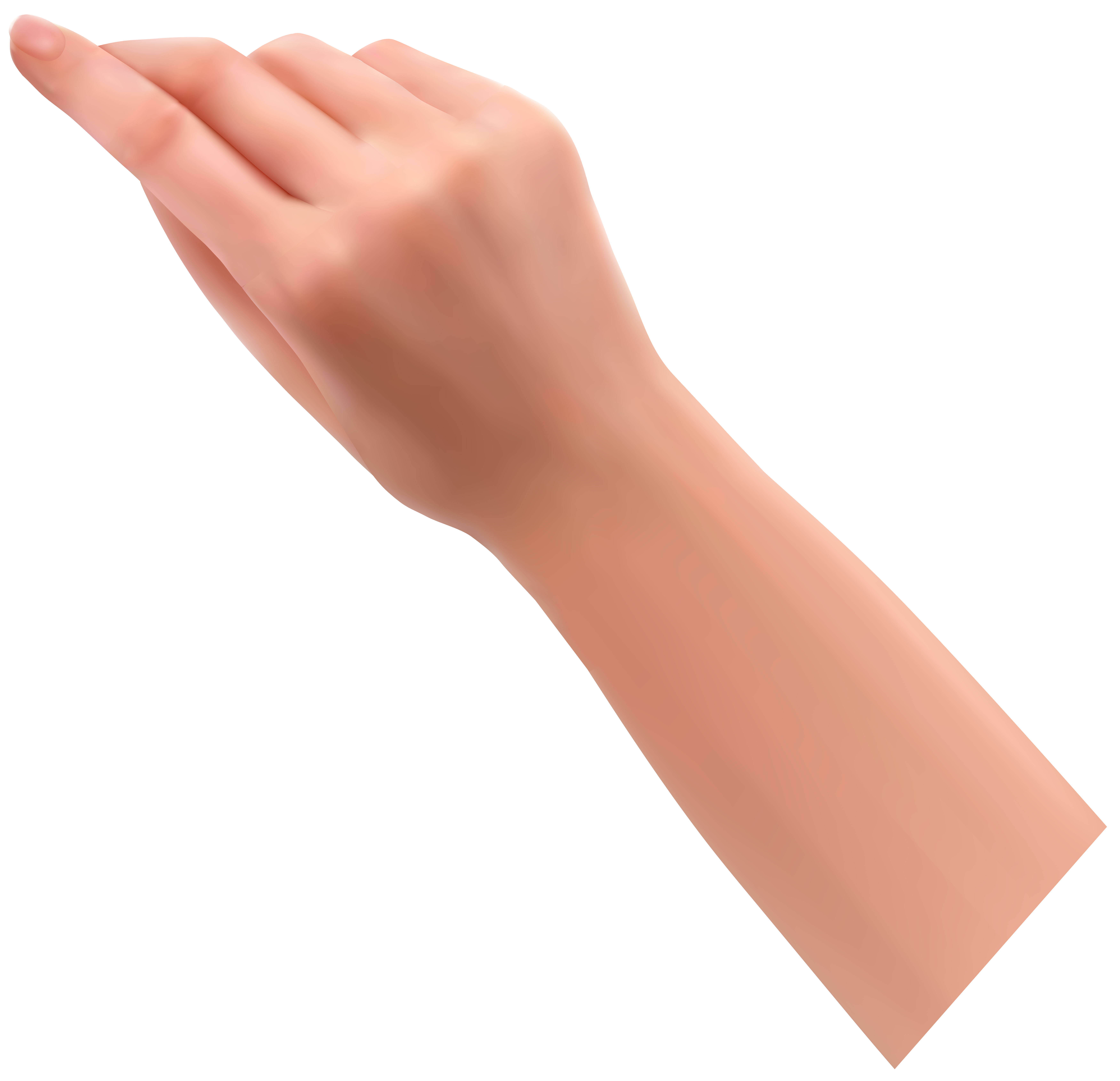 Female hand png clip. Hands clipart wrist