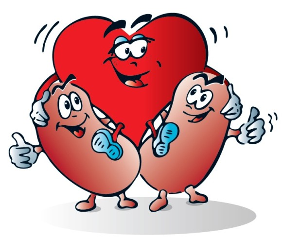 Disease clipart cute. Free right kidney cliparts