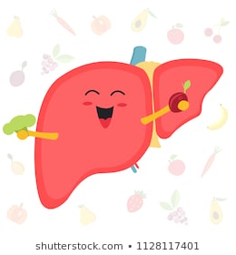 liver clipart happy